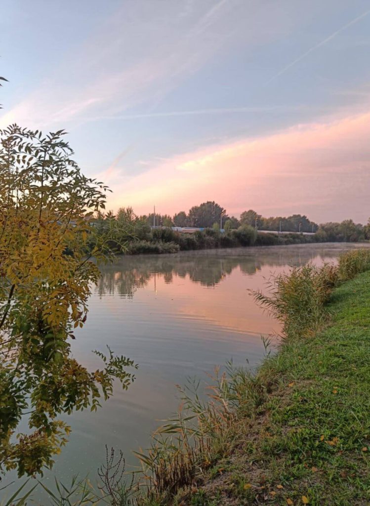 Horgásztó