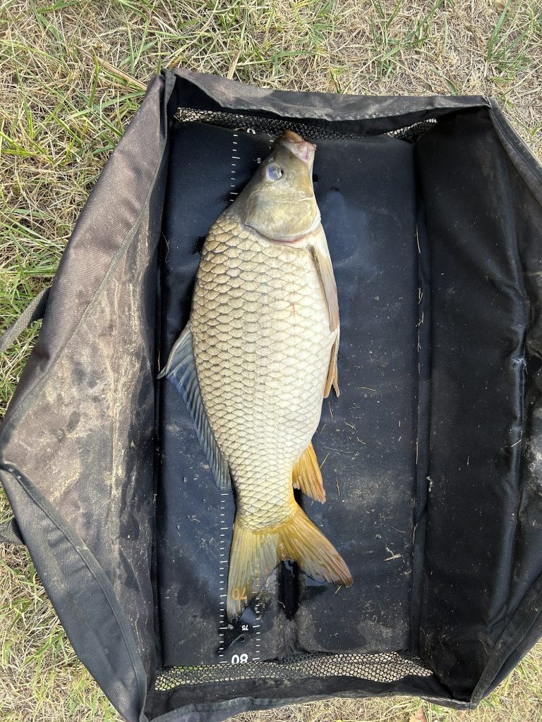 balint_krisztian_6.87kg_ponty_fotóII