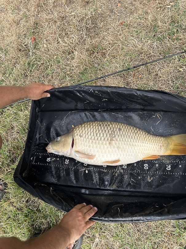 balint_krisztian_7kg_ponty_fotó_weboldal