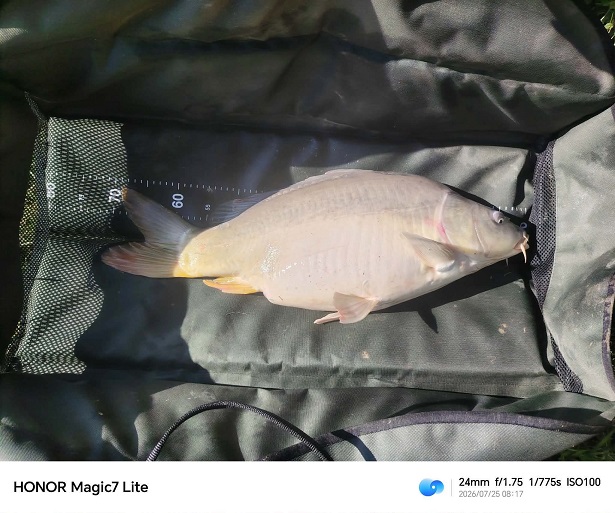 Benkő László 8,03 kg ponty