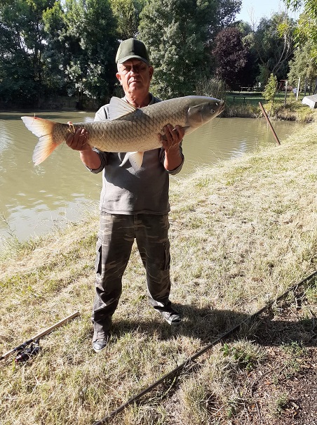 Mayer József 11,6 kg amur